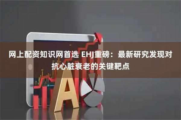 网上配资知识网首选 EHJ重磅：最新研究发现对抗心脏衰老的关键靶点